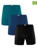 Muchachomalo 3-delige set: boxershorts turquoise/blauw/donkerblauw