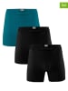 Muchachomalo 3er-Set: Boxershorts in Türkis/ Schwarz