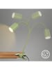 Briloner Lampa LED w kolorze zielonym z klamrą - KEE E (A do G)