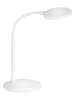 FISCHER & HONSEL Lampa stołowa LED "Work" w kolorze białym - wys. 36,5 x Ø 14,5 cm