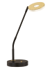 FISCHER & HONSEL LED-Tischleuchte "Dent" in Schwarz - Ø 16 cm x (H)60 cm