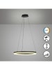 FISCHER & HONSEL LED-Hängeleuchte ''Sirko'' - EEK F (EEK A bis G) - (H)150 x Ø 60 cm