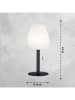 FH Lighting LED-Tischleuchte "Fiumara" in Weiß/ Schwarz - (H)30 x Ø 14 cm