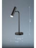 FH Lighting LED-Tischleuchte "Stina" in Schwarz - Ø 14 cm x (H)48 cm