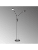 FH Lighting Staande ledlamp zwart - (H)150 cm
