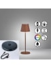 FH Lighting LED-Tischleuchte "Cosenza 2.0" in Braun - (H)34 x Ø 11 cm