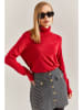 Bianco Lucci Rollkragenpullover in Rot