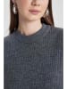 DeFacto Pullover in Grau