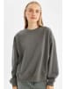 DeFacto Sweatshirt in Grau
