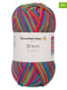 Schachenmayr since 1822 20er-Set: Kunstfasergarne ''Bravo Color'' in Bunt - 20x 50 g