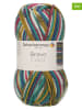Schachenmayr since 1822 20er-Set: Kunstfasergarne ''Bravo Color'' in Bunt - 20x 50 g