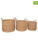 House Nordic 3er-Set: Körbe "Krabi" in Hellbraun