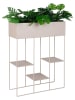 House Nordic Stojak "Rabo" w kolorze beżowym na rośliny - 60 x 80 x 25 cm