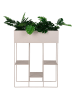 House Nordic Plantenstandaard "Rabo" beige - (B)60 x (H)80 x (D)25 cm