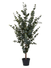 House Nordic Kunstplant "Eucalyptus Tree" groen - (H)120 cm