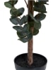 House Nordic Kunstplant "Eucalyptus Tree" groen - (H)120 cm