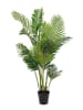 House Nordic Kunstplant "Areca Palm" groen - (H)175 cm