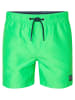 Petrol Industries Badeshorts in Grün