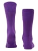 Falke Socken "Tiago" in Lila