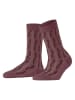 Falke Skarpety w kolorze fioletowym