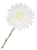 daan kromhout Sztuczny kwiat "Dahlia" w kolorze biało-zielonym - wys. 65 cm