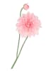 daan kromhout Kunstblume "Dahlia" in Rosa/ Grün - (H)78 cm