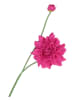 daan kromhout Kunstbloem "Dahlia" roze/groen - (H)78 cm