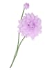 daan kromhout Kunstblume "Dahlia" in Lila/ Grün - (H)78 cm
