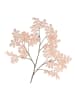 daan kromhout Dekoracyjna gałązka w kolorze jasnoróżowo-brązowym - wys. 125 cm