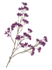 daan kromhout Dekoracyjna gałązka w kolorze ciemnofioletowo-brązowym - wys. 108 cm