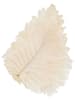 daan kromhout Kunstblatt "Caban Leaves" in Creme - (B)22 x (H)30 cm
