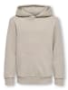 ONLY & SONS Junior Hoodie "Ceres" in Beige