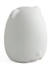 Ulysse Nachtlamp "Mini-Beer" met kleurwisselfunctie - (H)12 cm
