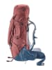 Deuter Wandelrugzak "Aircontact X" lichtbruin - (B)32 x (H)82 x (D)28 cm