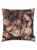 Magma Heimtex Poszewka "Protea" w kolorze czarno-brązowym na poduszkę - 60 x 60 cm
