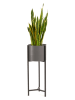 Lifa Living Pflanzenständer "Delphine" in Grau - (H)70 cm