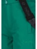 Zigzag Spodnie narciarskie "Soho" w kolorze zielonym