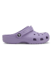 Crocs Crocs in Lila