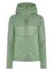 Didriksons Fleece vest "Annema" groen