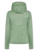 Didriksons Fleecejacke "Annema" in Grün