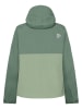 Didriksons Funktionsjacke "Grit" in Grün