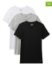 Calvin Klein 3-delige set: shirts zwart/grijs/wit