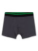 Sanetta 2er-Set: Boxershorts in Anthrazit/ Schwarz