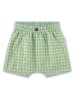 Sanetta Kidswear Short groen/lichtblauw