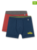 Sanetta 2er-Set: Boxershorts in Rot/ Dunkelblau