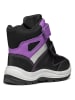 Geox Boots "Flanfil" in Schwarz/ Violett