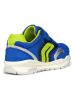 Geox Sneakers "Pavel" in Blau/ Grün