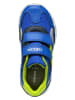 Geox Sneakers "Pavel" blauw/groen