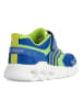 Geox Sneakers "Wroom" in Blau/ Grün