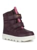 Geox Winterboots "Willaboom" paars